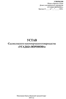 Проект Устава